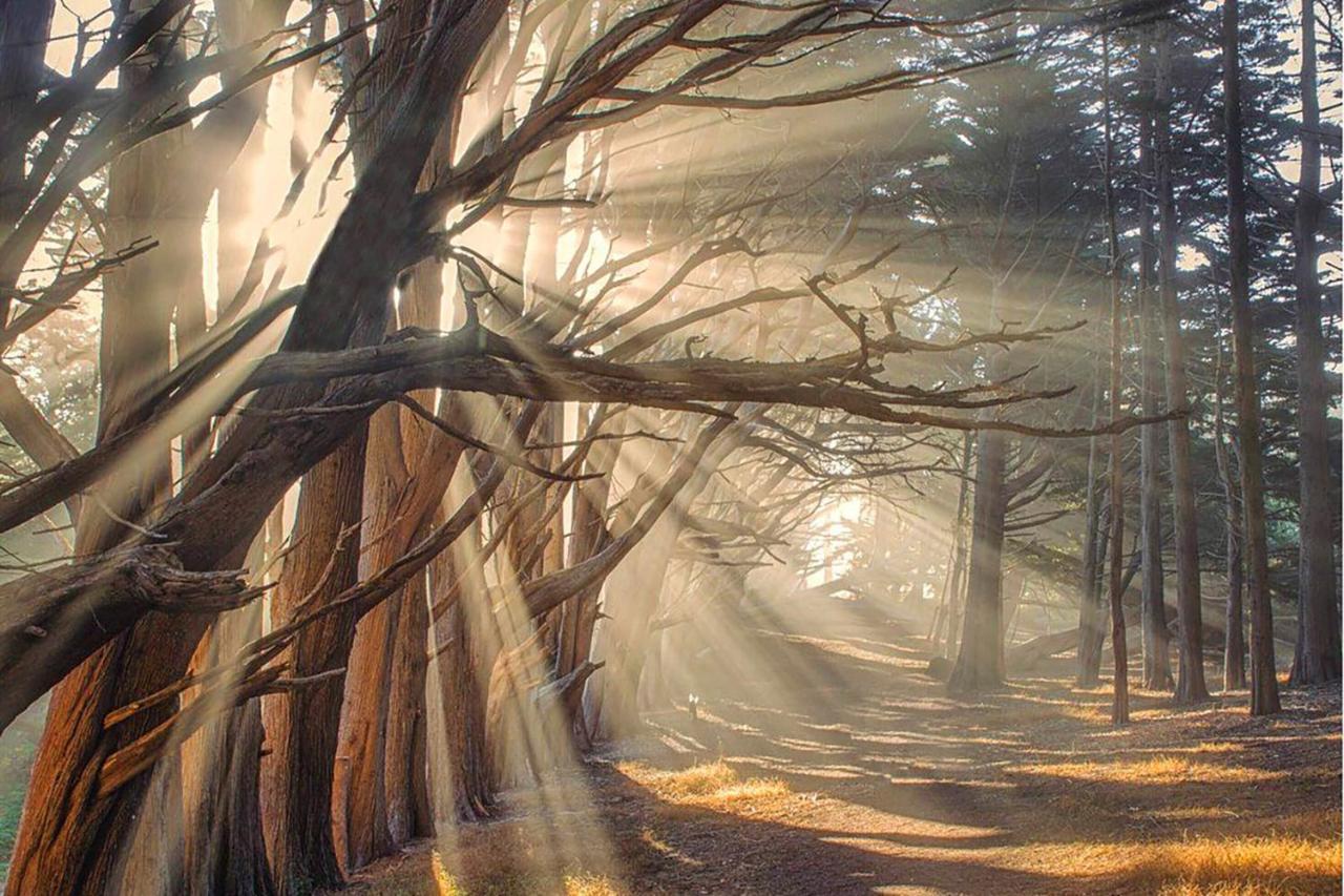 Montara Beach Mountain Escape Bagian luar foto